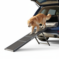 Senior dog walking up a folding telescoping ramp into a car