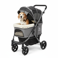 Senior dog sitting comfortably in a pet stroller