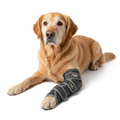 Dog joint warming wrap and compression sleeve